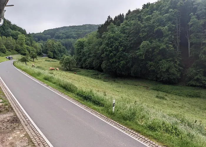 4 Persons Wohnung In De Eifel