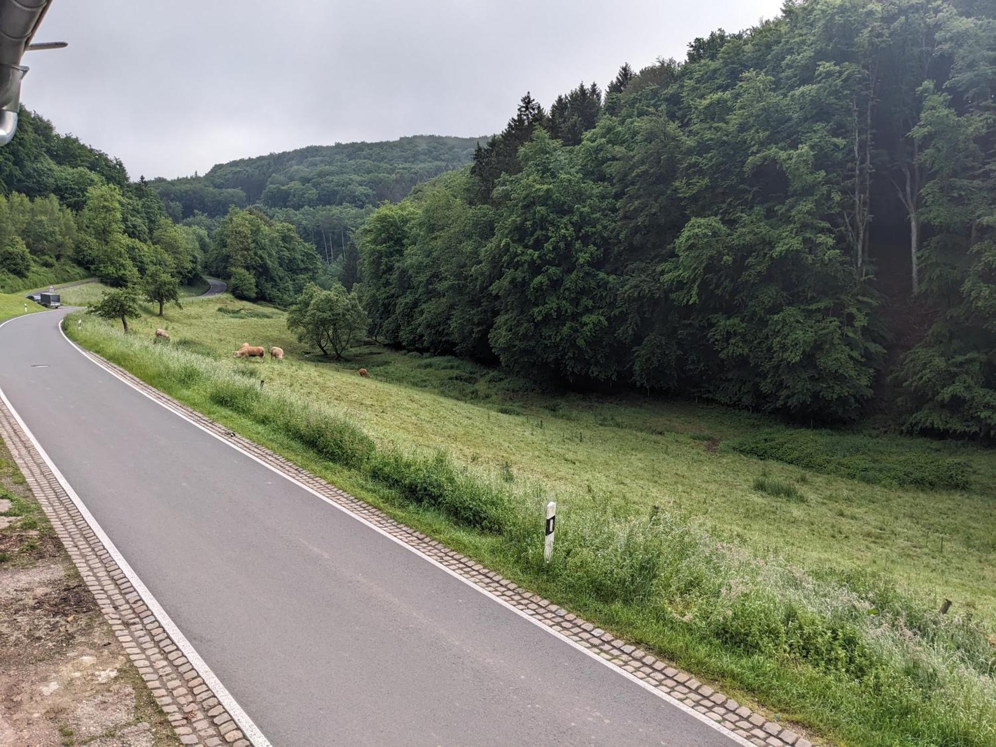 4 Persons In De Eifel Apartment Baustert